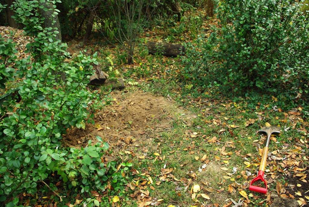 It's Not Work, It's Gardening!: New Bamboo